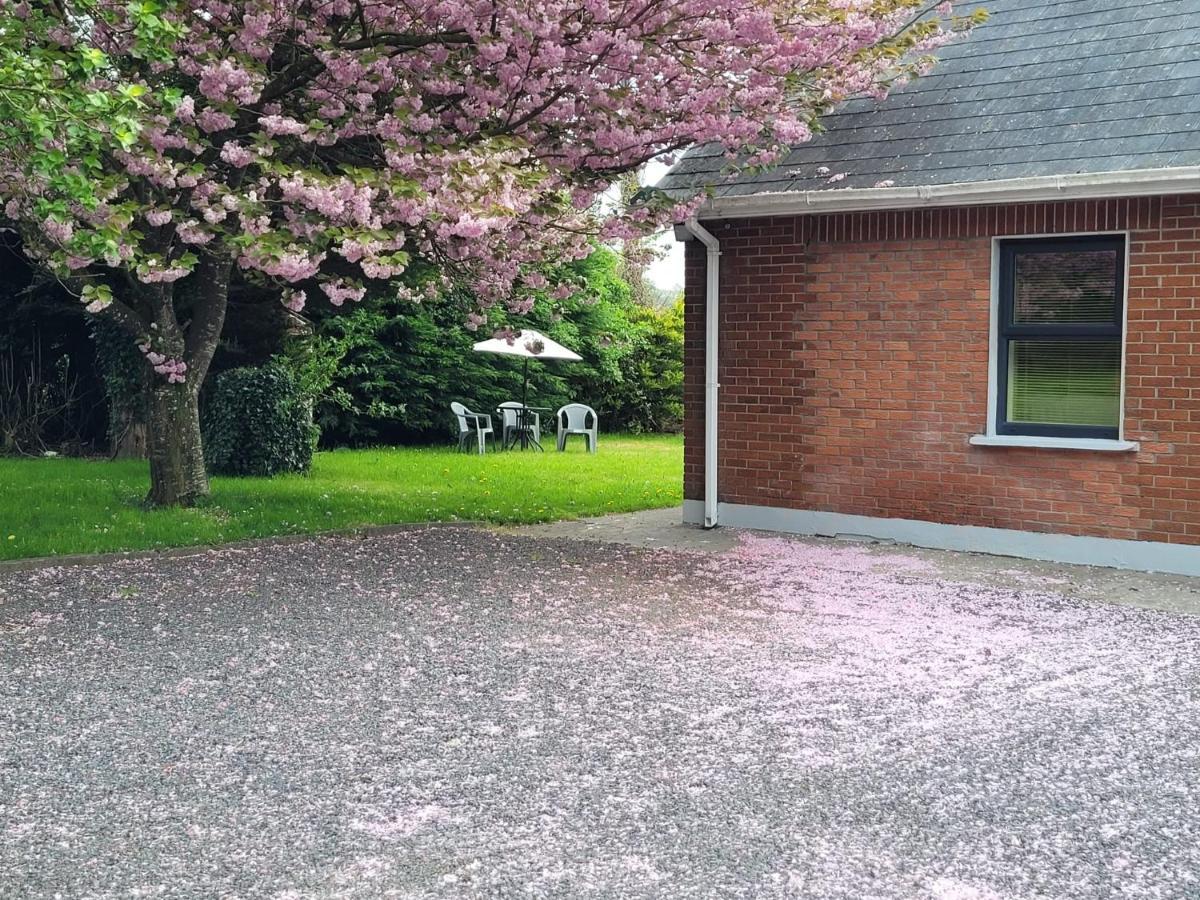 Beechwood House ,Apartment C15Ya44 Slane Exterior photo
